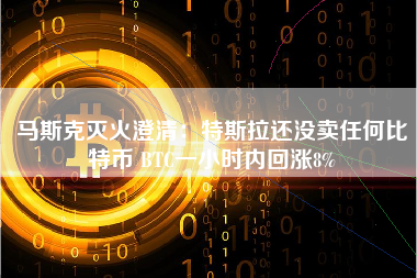 马斯克灭火澄清：特斯拉还没卖任何比特币 BTC一小时内回涨8%