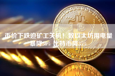 币价下跌迫矿工关机！致以太坊用电量暴降50% 比特币降35%